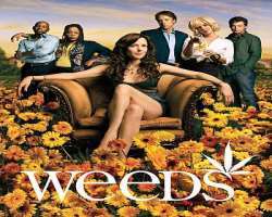 She has done various guest starred roles in TV series such as Weeds (2005), Just Jordan (2008), etc.